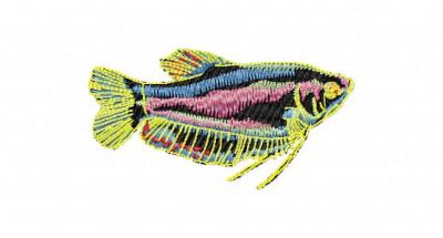 Click to view full size image