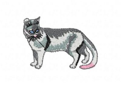 Click to view full size image