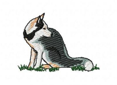 Click to view full size image