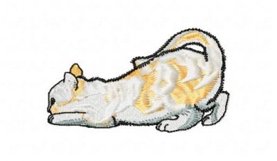 Click to view full size image