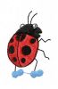 Ladybug1.jpg